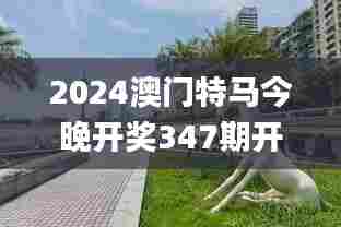 大事夸张 第5页