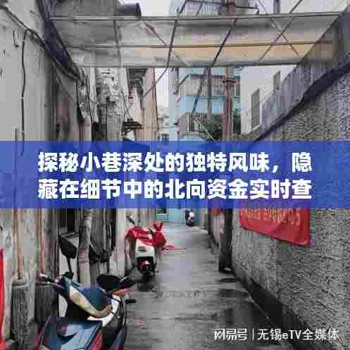 探秘小巷特色风味与北向资金实时查询,一家小店的奇妙故事