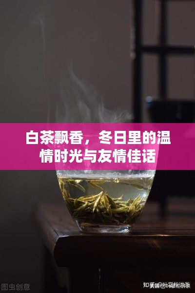白茶飘香,冬日温情时光里的友情佳话