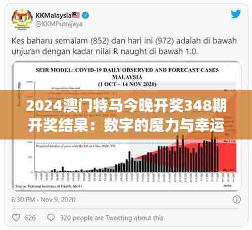 2024澳门特马今晚开奖348期开奖结果:数字的魔力与幸运的交织