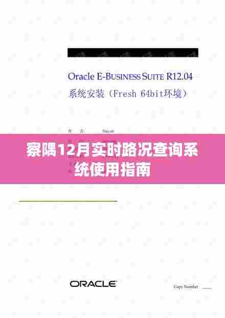 察隅12月实时路况查询系统操作指南