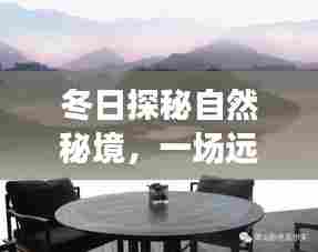 炙手可热 第3页