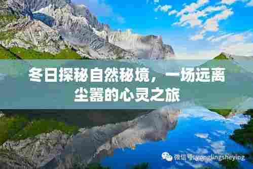 冬日自然秘境探秘,心灵远离尘嚣之旅