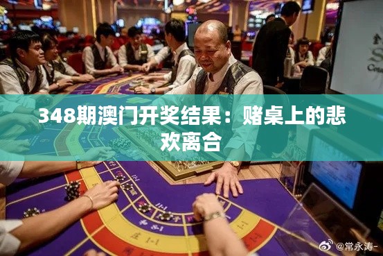 348期澳门开奖结果:赌桌上的悲欢离合