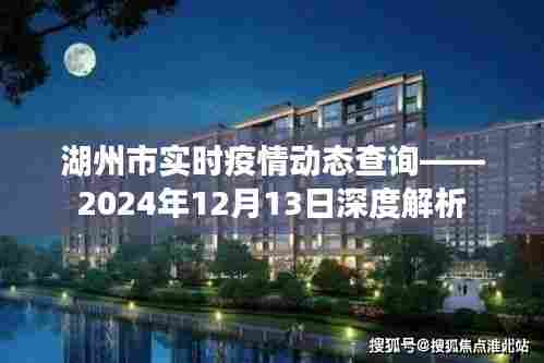湖州市实时疫情动态深度解析报告,2024年12月13日最新数据发布