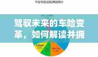 驾驭未来车险变革,拥抱新纪元,解读实时生效车险政策新动向(2024年12月13日)