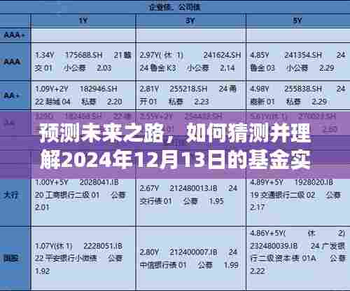 如何预测并理解基金实时估值,初学者与进阶用户指南(2024年12月13日)