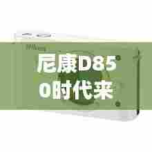 都中纸贵 第3页