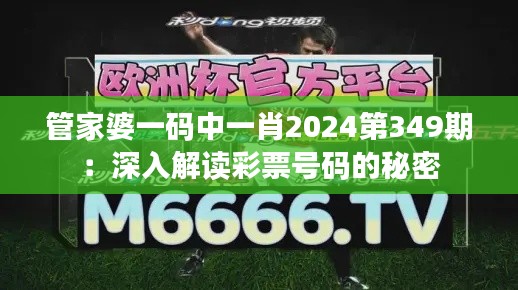 管家婆一码中一肖2024第349期:深入解读彩票号码的秘密