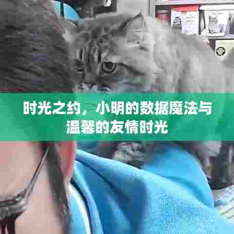 时光之约,小明的数据魔法与友情时光之旅