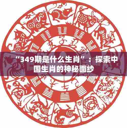 “349期是什么生肖”:探索中国生肖的神秘面纱
