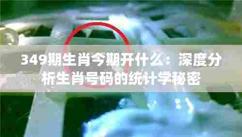 349期生肖今期开什么：深度分析生肖号码的统计学秘密