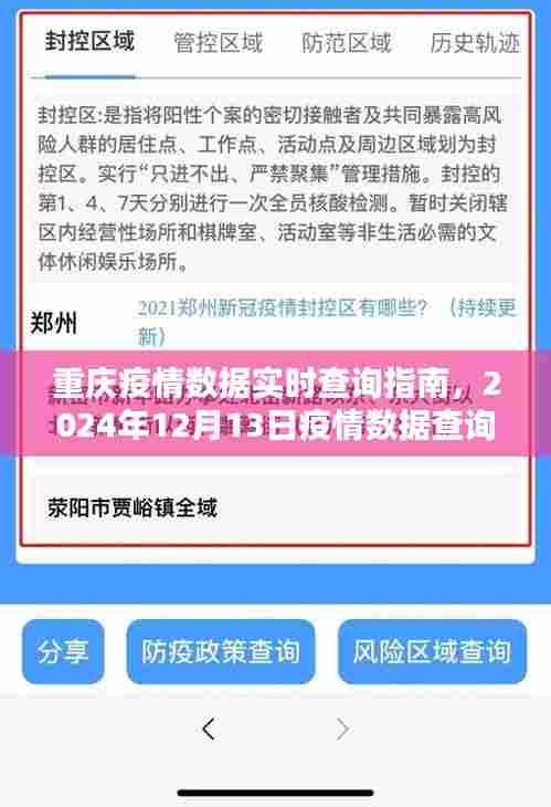 重庆疫情实时查询指南,初学者与进阶用户适用的疫情数据查询步骤详解(截至2024年12月13日)
