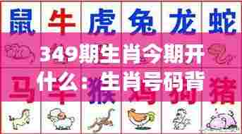 349期生肖今期开什么:生肖号码背后的文化意涵
