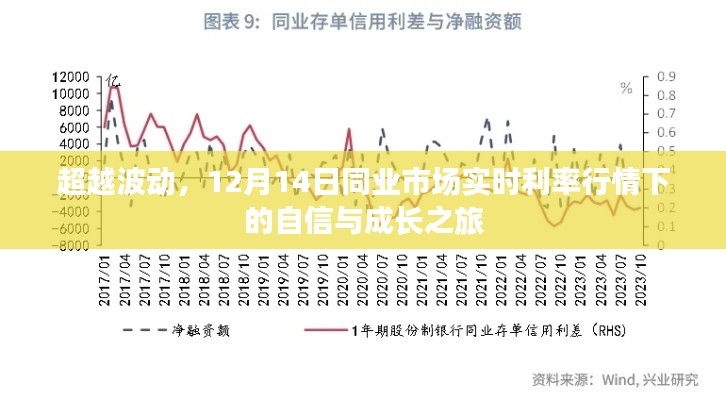 超越波动,实时利率行情下的自信成长之旅(12月14日同业市场观察)