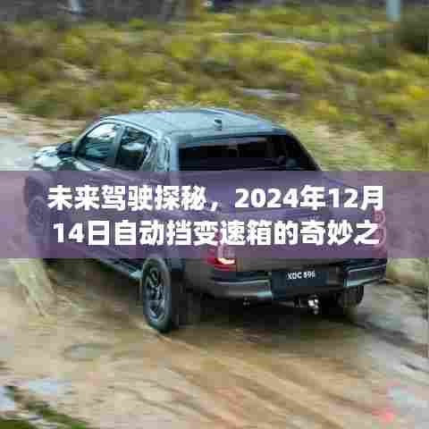 未来驾驶探秘,自动挡变速箱的奇妙之旅(2024年12月14日)