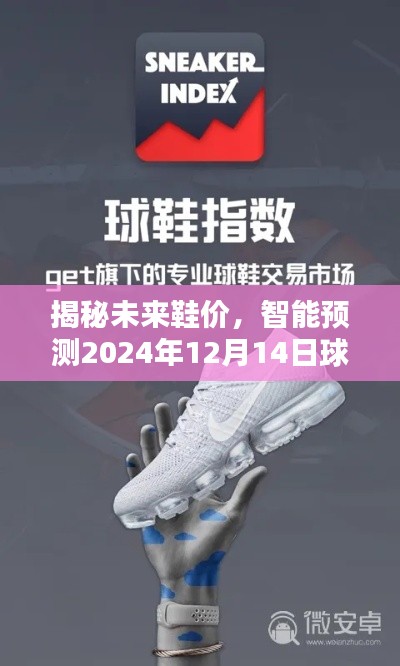 科技引领潮流鞋价新纪元,揭秘未来球鞋报价预测,2024年实时行情展望