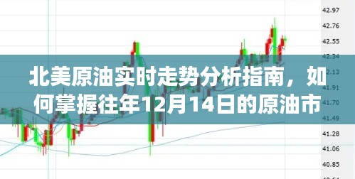 北美原油实时走势解析,掌握往年12月14日市场动态指南