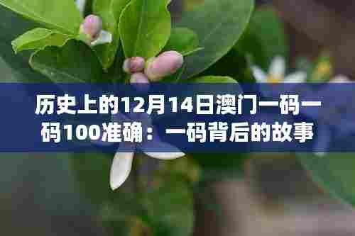 历史上的12月14日澳门一码一码100准确:一码背后的故事与澳门精神