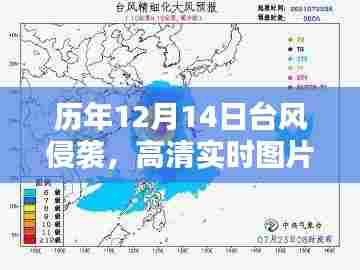 历年12月14日台风侵袭回顾,高清图片与影响分析