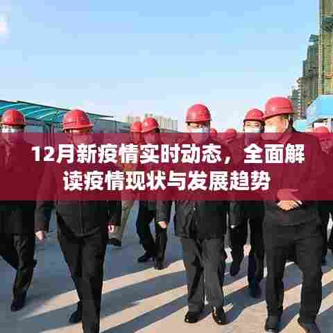 12月新疫情实时动态,全面解读现状与发展趋势