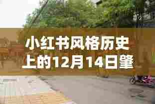 小红书风格下的肇庆街道实时路况揭秘,历史视角下的12月14日深度剖析