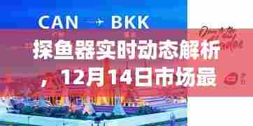 探鱼器实时动态解析,市场最低价背后的技术揭秘(12月14日)