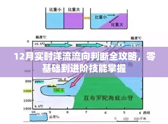 从零到进阶,掌握12月实时洋流流向判断全攻略