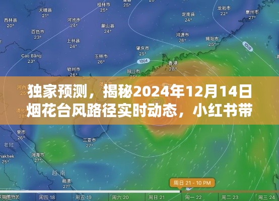 独家预测,小红书带你共抗烟花台风路径实时动态,揭秘风雨走向!