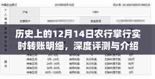 农行掌行实时转账明细深度评测及介绍,历史视角下的12月14日回顾