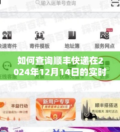 详细步骤指南,如何查询顺丰快递在指定日期(2024年12月14日)的实时位置