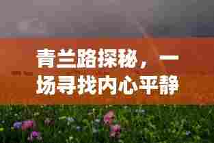 料事如神 第3页
