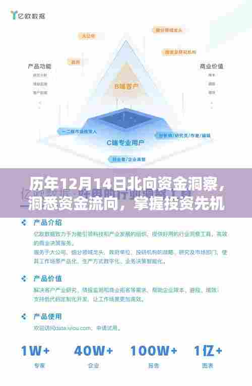 历年12月14日北向资金洞察,洞悉资金流向,把握投资先机