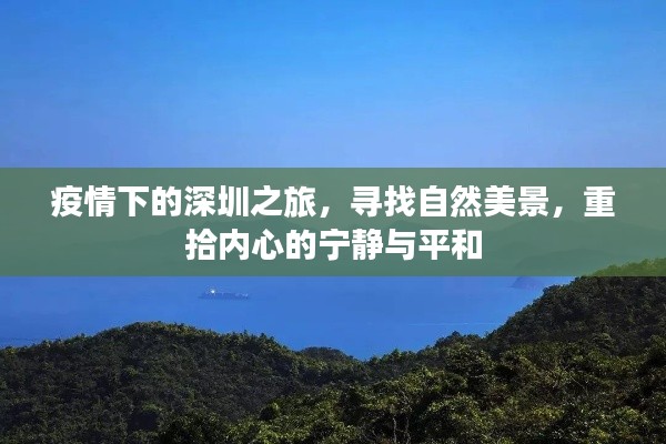 疫情下的深圳之旅,自然美景探寻与内心宁静重塑