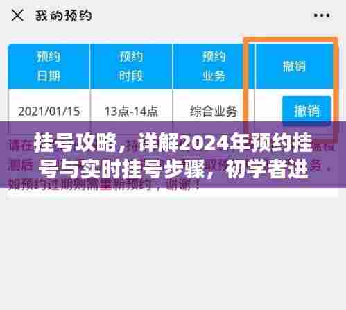 挂号攻略详解,预约挂号与实时挂号步骤初学者进阶指南(2024版)
