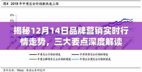 揭秘品牌营销实时行情走势,深度解读三大要点(12月14日)