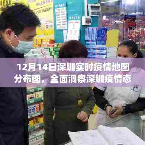 深圳实时疫情地图分布图(12月14日版),洞察深圳疫情全貌