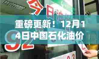 中国石化油价实时变动,揭秘重磅更新后的95号汽油价格走势