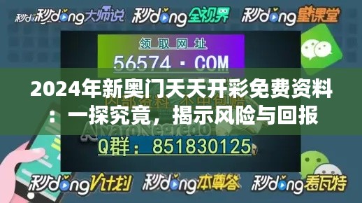 2024年新奥门天天开彩免费资料:一探究竟,揭示风险与回报