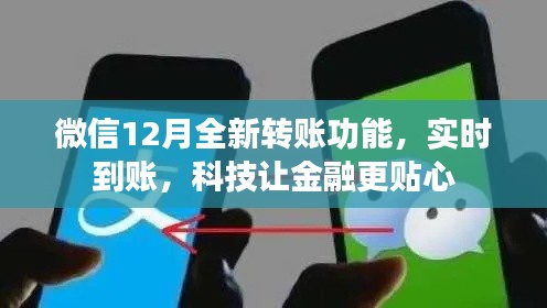 无影无踪 第4页