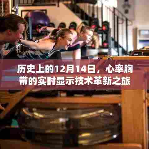 心率胸带实时显示技术革新之旅,历史回顾与未来展望(12月14日篇)