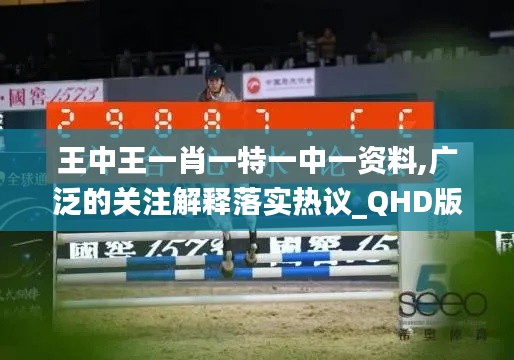 王中王一肖一特一中一资料,广泛的关注解释落实热议_QHD版4.462