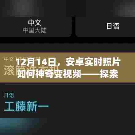 明目张胆 第3页