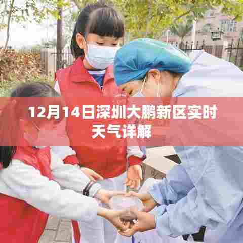 还醇返朴 第4页