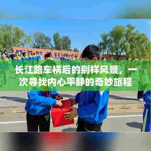 长江路车祸后的心灵探寻,平静与奇迹的旅程