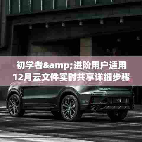 初学者与进阶用户适用的云文件实时共享指南(12月版)