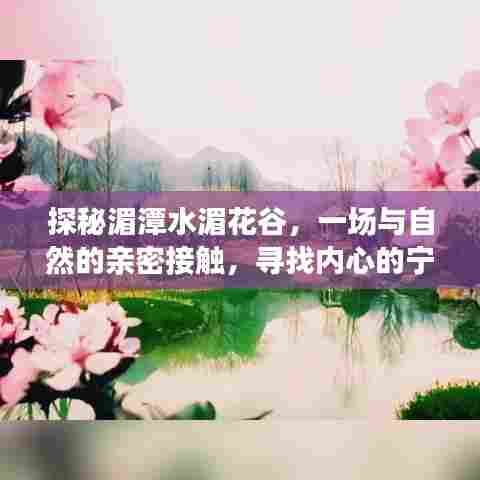 探秘湄潭水湄花谷,自然之旅与心灵宁静的探寻(实时直播回顾)