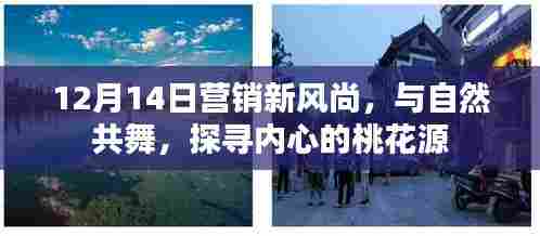 12月14日营销新风尚,与自然共舞,探寻内心的桃源世界
