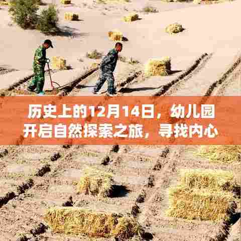 幼儿园自然探索之旅,寻找内心的宁静绿洲——历史上的12月14日回顾