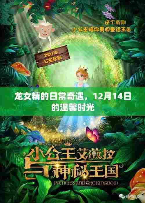 龙女精的温馨奇遇,12月14日日常中的温暖时光